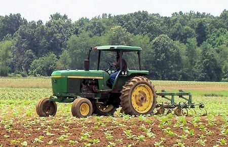 tractors in tobacco fields