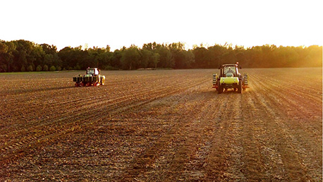 tractors in tobacco fields